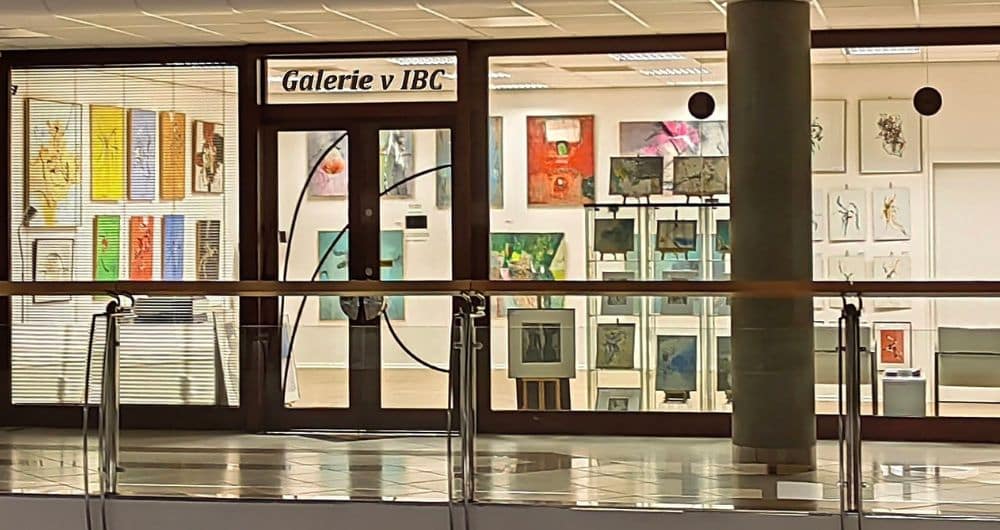 Galerie v IBC